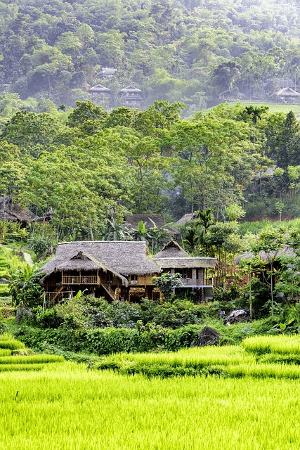 pu luong nature reserve, thanhhoa province, agriculture