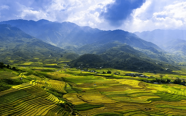 terraces, golden rice field, mu cang chai district