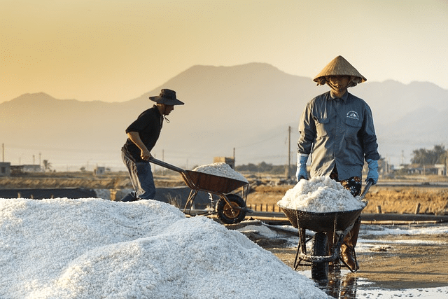 agriculture, asia, conical leaf hat